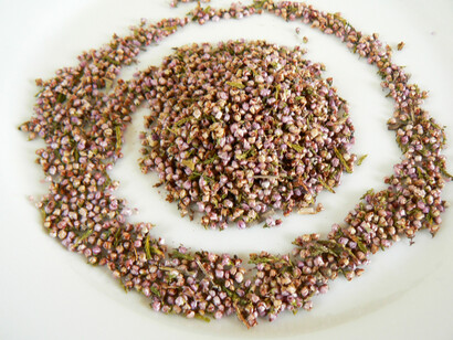 Fiori di erica essiccati