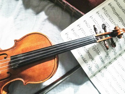 Violino