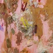 Before me: I roll in the snow / rotating / ravelling / turned / twisted / to an expression of instance. Behind me: peonies / disassemble / loosen up / breaking down / collapsing. Beside me: enfleurage / ointmentlike / perfumed solids / without body / engulfed / collected / to a given. Under me: loose materials / mishmash / knocking / beating / leaf buds / opening / chlorophyll / watercolour / unfolding / fold in. Over me: froth of sugar / corals / sea anemones / jellyfish / sea snails / all is viewed / lulling / as long as it lasts’, 2014 Plexiglas, fabric, acrylic paint, cellophane, paint medium, candlewax, tape, 150 x 120 cm