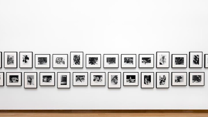 Jump into the Future. Courtesy of Stedelijk Museum
