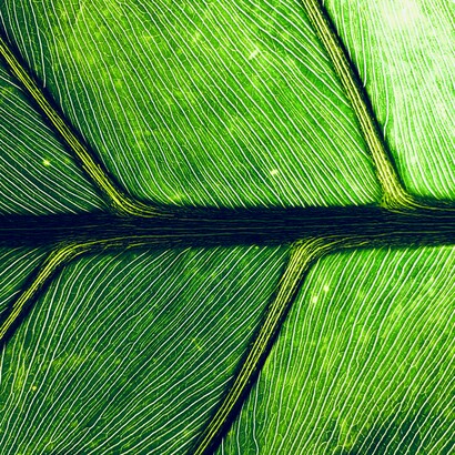 È il silenzio che non pesa, ma accoglie, come una mano posata con cura sulla fronte stanca