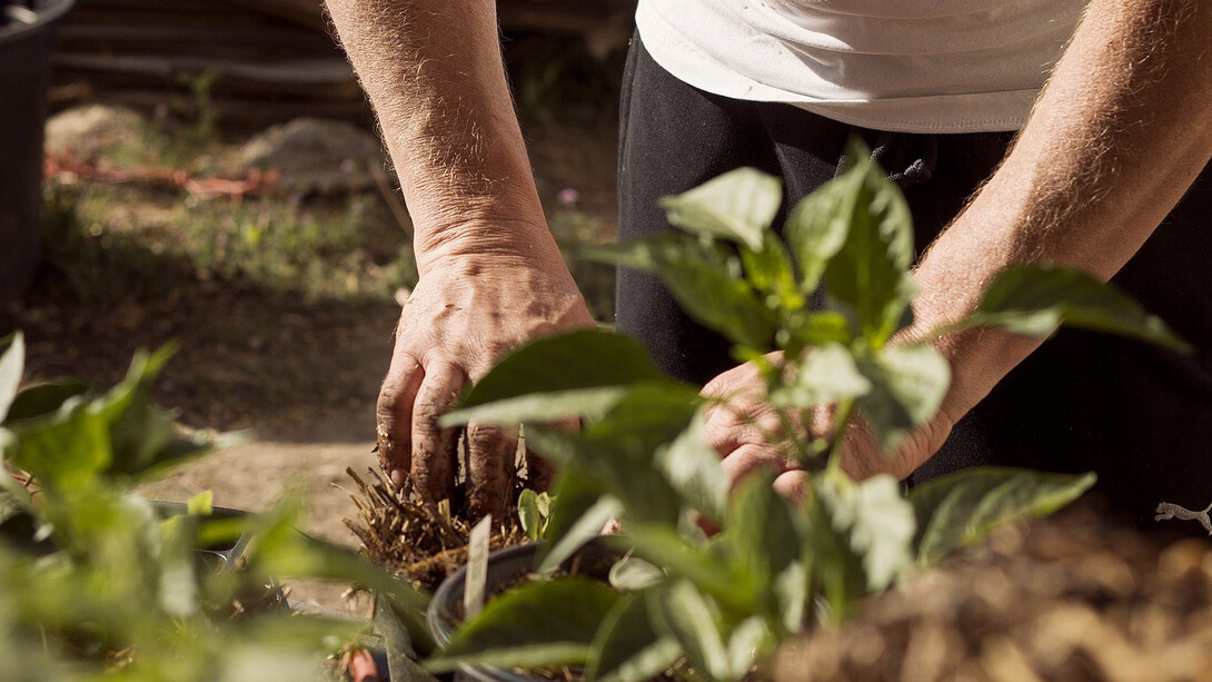 Il panfluencer è colui che ha il compito di diffondere il panismo, quella simbiosi perfetta tra uomo e natura