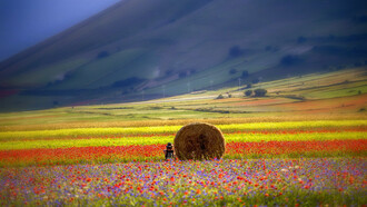 Il punto critico è il momento in cui si raggiunge la massa critica, la soglia, il punto di ebollizione (Malcolm Gladwell)