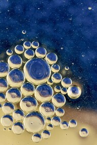 Le terme hérédité vient du latin hereditas signifiant en français « ce dont on hérite »