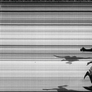 Le sport à l’épreuve, artwork in exhibition. Courtesy of the Olymipc Museum