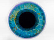 Marc Quinn, Iris (We Share Our Chemistry With the Stars) A200L DIL, 2009, Oil on canvas, 78 3/4 x 78 3/4 in, 200 x 200 cm