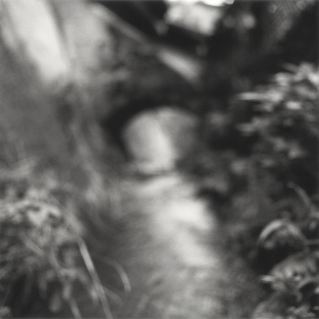 Kirk Palmer, From the series Precious Fragments, 2014, b/w selenium toned silver gelatin hand print © Kirk Palmer