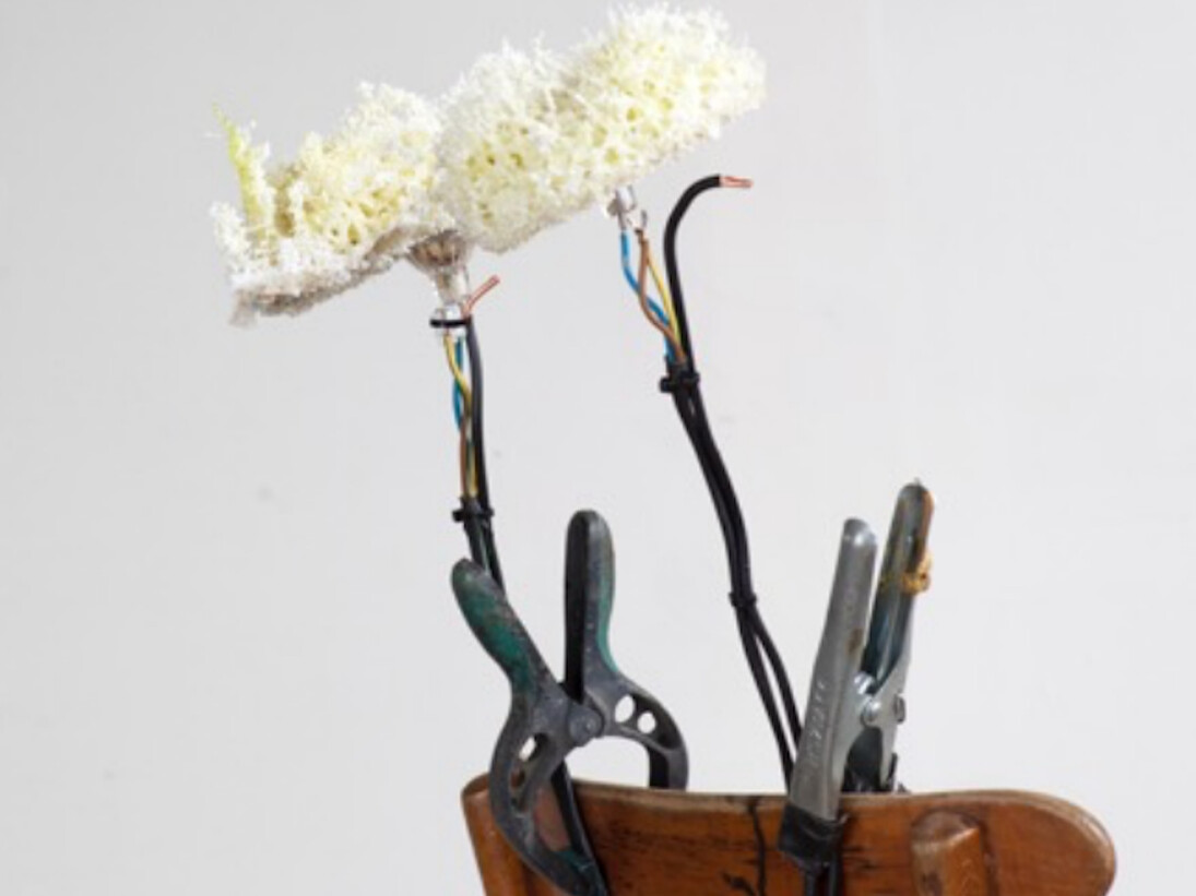 Postnaturalia. Courtesy of Collezione Maramotti