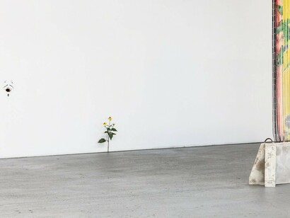 Concrete Island, Exhibition view. Courtesy of Venus