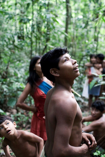 Los awás viven en amplios grupos familiares. Salen juntas a recolectar nueces y frambuesas. © D. Pugliese / Survival