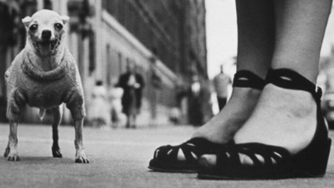 Re-Float the Catherine Couturier Family Post-Hurricane Harvey Benefit. Courtesy of Foto Relevance