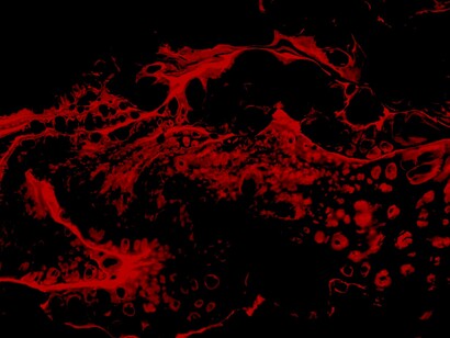 El ímpetu de la sangre abre sus fauces