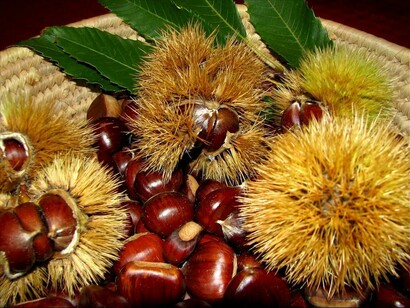 La bontà delle castagne