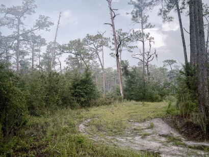 The Pines. Courtesy of Southeast Museum of Photography