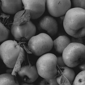 James Welling. Daylight, Weert, 1994. Inkjet print. 17 x 22 in. (43.2 x 55.9 cm). Collection of the artist.