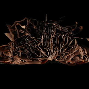 Richard Finkelstein. Courtesy of Robert Mann Gallery