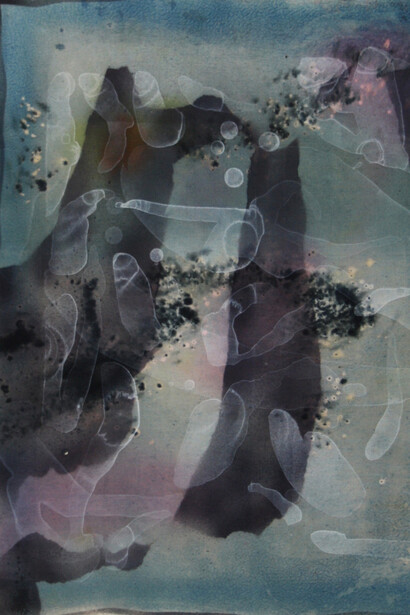 Aimée Parrott, Behind the Bathroom Window, 2015, Cyanotype, ink, watercolour, dye on calico, 50 x 40 cm