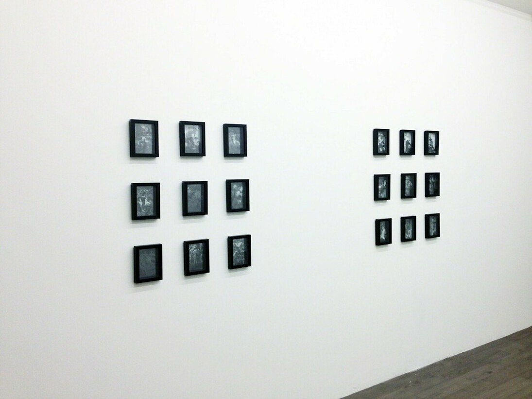 Battle for Cultivation, Exhibition view. Courtesy of Envoy Entreprises