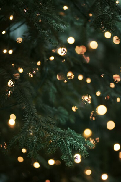 Decorazioni sull'albero di Natale 