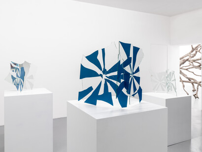 Ariel Schlesinger. Courtesy of Galleria Massimo Minini