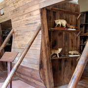 The Earth between myth and science. Courtesy of Museo di Storia Naturale