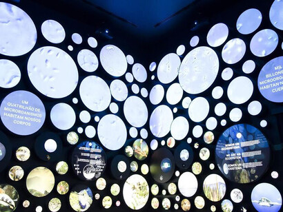 Do cosmos a nós, vista da exposição. Cortesia do Museu do Amanhã