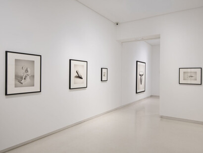 Chema Madoz, exhibition view. Courtesy of Elvira González Gallery