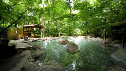 Hot springs are literally everywhere in Japan