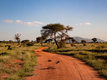 Parc National de Tsavo. Kenya