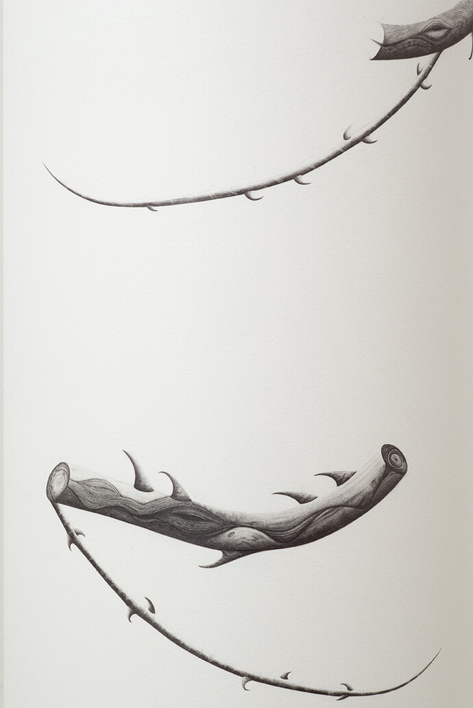 Sarah Woodfine, Untitled IV (detail), pencil on paper, 2015