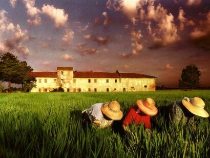 Lella Beretta, Mondine, Photographic Print on Canvas, 28" x 40"