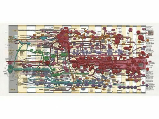 Ward Shelley, “Extra Large Fluxus Diagram V.3,” 2011, Oil and toner on mylar, 35 x 74 inches