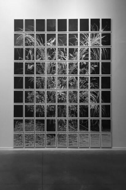 Justin Weiler. Courtesy of Galerie Paris-Beijing