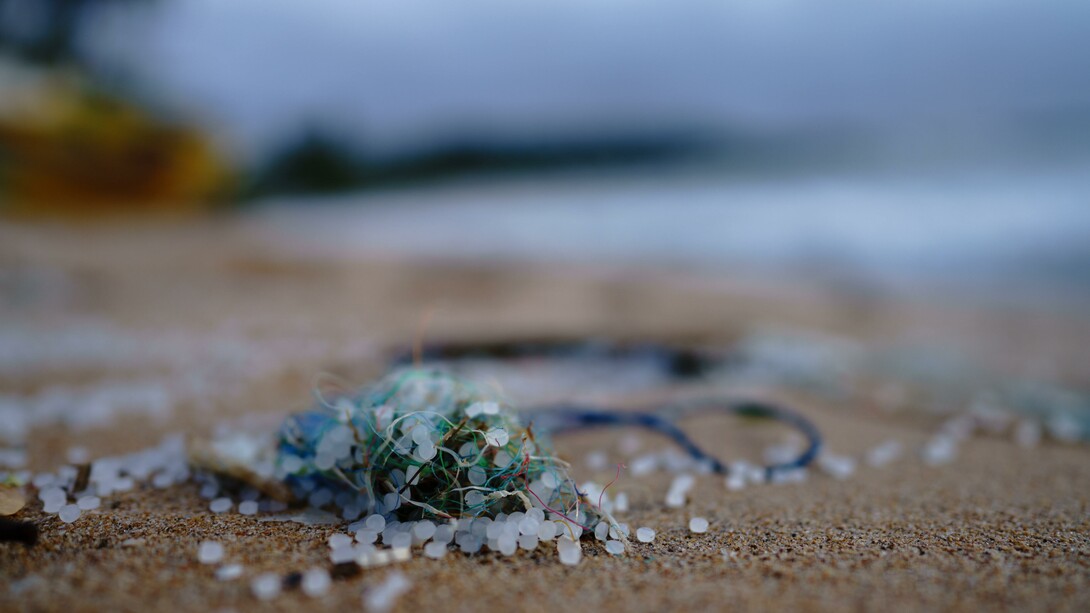 L'esame dei campioni prelevati ha mostrato la quantità di plastiche e microplastiche che si sono accumulate sul fondo marino negli ultimi decenni e il loro aumento, in particolare a partire dagli anni '80