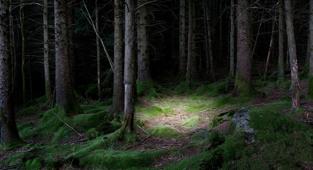 Ellie Davies ‘The Gloaming I’, 2011