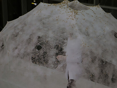 The Silk Pavilion, an architectural marvel at MIT Media Lab, intricately woven by silkworms under Oxman's design