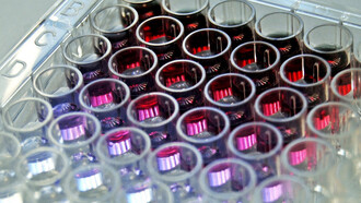 Fármacos anticancerígenos: tubos de ensayo para investigación en inmunoterapia