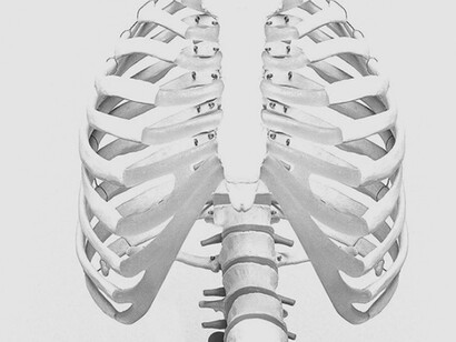 Lo que quedará del sapiens