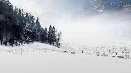Winterlight, ph. by M. Stillwater