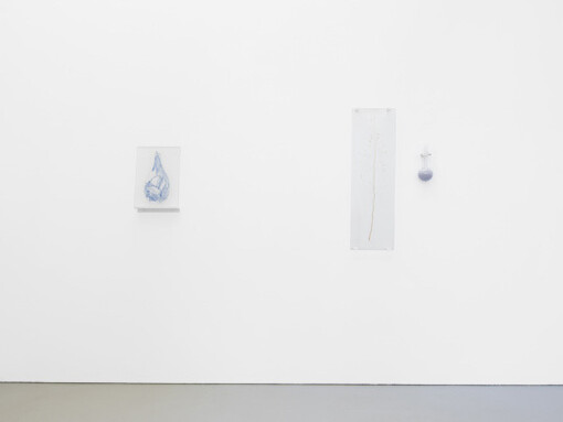 Elsa Salonen, Moonlit botanical colour theories, exhibition view. Courtesy of Galerie Jochen Hempel