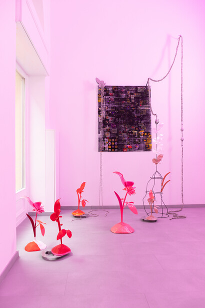 Zsuzsi Magyari, Inner stem, exhibition view. Courtesy of am projects. Photo by Mátyás Gyuricza