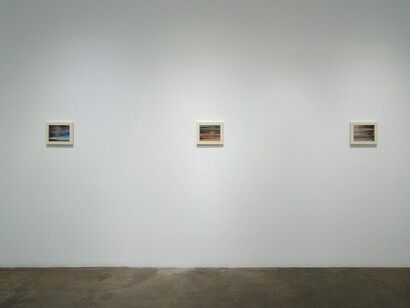 Richard Patterson, Nature paintings, exhibition view. Courtesy of Cris Worley Gallery