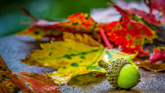 The romantic atmosphere of October