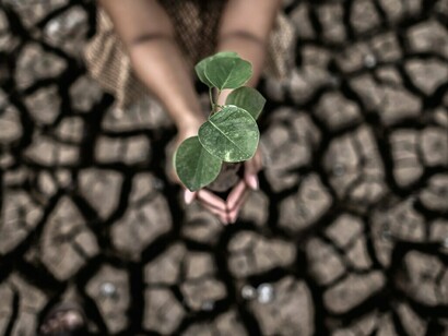 Hands holding a fragile sapling emerging from parched land, a visual warning of the impact of unsustainable resource consumption