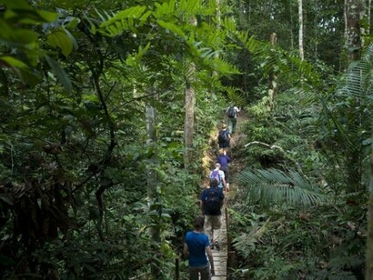 Walking in the Amazon
