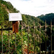 Caitlin Peterson, Tallulah Gorge 01, 2013. Courtesy of Georgia Museum of Art