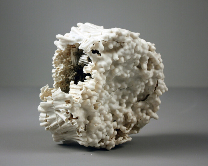The Evocation of a Moment; A Gesture Jessica Drenk. Courtesy of Adah Rose Gallery