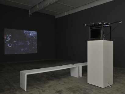 Paul Sietsema, exhibition view. Courtesy of Marian Goodman Gallery