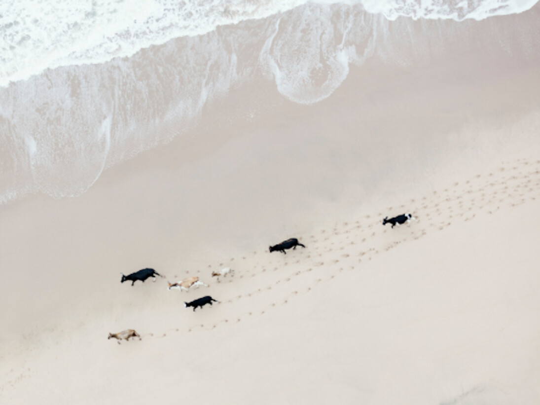 Zack Seckler. Courtesy of ClampArt