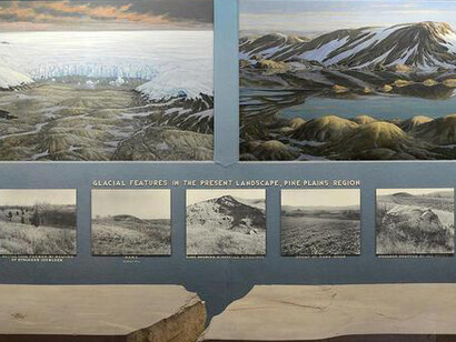 Felix M. Warburg Hall of New York State Environment. Courtesy of American Museum of Natural History